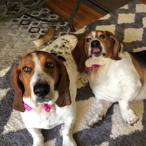 Meet your Posher, Cathy